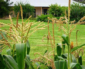 Experiment Farm Cottage - Foster Accommodation 4
