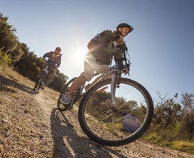 Royal National Park - Foster Accommodation 1