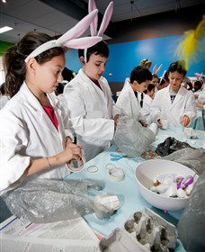 Australian Nuclear Science And Technology Organisation - Foster Accommodation 1