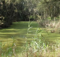 Second Ponds Creek walk - Foster Accommodation