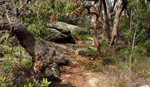 Box Head Track - Foster Accommodation 0