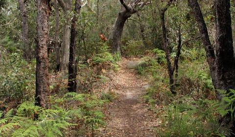 Box Head Track - Foster Accommodation 1