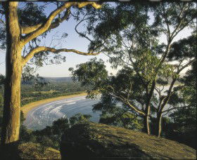 Ocean Beach Umina - Foster Accommodation 0