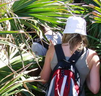 Palm Jungle loop track - Foster Accommodation