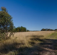 Scheyville horse riding trails - Foster Accommodation