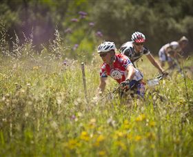 The Australian Botanic Garden Mount Annan - Foster Accommodation 2