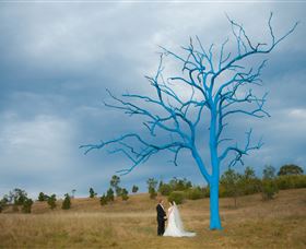 The Australian Botanic Garden Mount Annan - Foster Accommodation 5