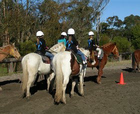 Darkes Forest NSW Foster Accommodation