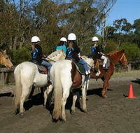Darkes Forest Riding Ranch - Foster Accommodation