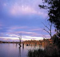 Loch Luna Game Reserve and Moorook Game Reserve - Foster Accommodation