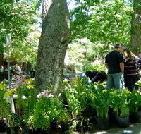 The Stirling Market - Foster Accommodation
