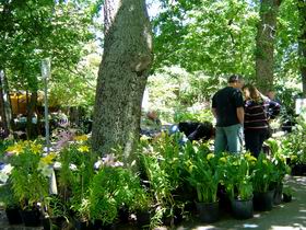 The Stirling Market - Foster Accommodation 0