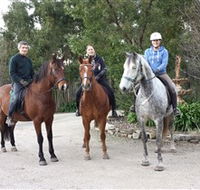 Academy of Dressage - Foster Accommodation
