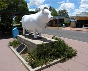 Aramac - The White Bull - Foster Accommodation 2