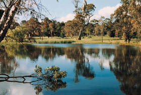 Echunga Golf Club Incorporated - Foster Accommodation 1