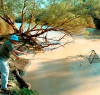 Charleville - Ward River Fishing Spot - Foster Accommodation