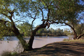 Charleville - 27 Mile Warrego River Fishing Spot - Foster Accommodation 4