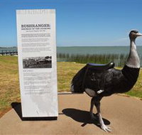 Birdman of the Coorong - Foster Accommodation