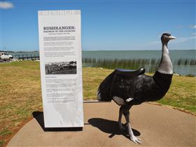 Birdman Of The Coorong - Foster Accommodation 0