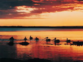 Coorong National Park - Foster Accommodation 1