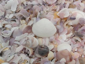 42 Mile Crossing - Foster Accommodation 2