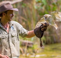 Territory Wildlife Park - Foster Accommodation