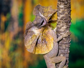 Territory Wildlife Park - Foster Accommodation 1