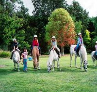 Limestone Coast Horseriding - Foster Accommodation