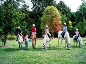 Limestone Coast Horseriding - Foster Accommodation 0