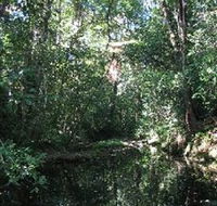 Wabunga Wayemba Charmillan Creek walking track - Foster Accommodation