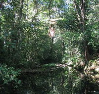Misty Mountains Wilderness Walking Tracks - Foster Accommodation