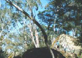 Dergholm VIC Foster Accommodation