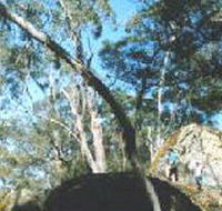 Dergholm State Park - Foster Accommodation