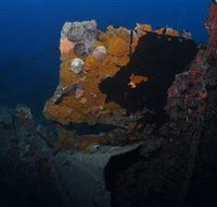 Lady Bowen Dive Site - Foster Accommodation