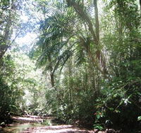 Mount Lewis National Park - Foster Accommodation