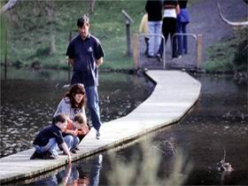 Valley Lake Conservation Park - Foster Accommodation 2