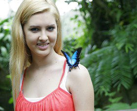 Australian Butterfly Sanctuary - Foster Accommodation 0