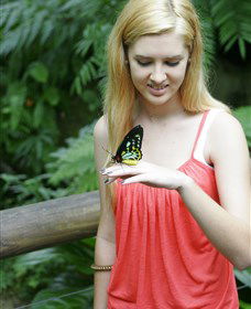 Australian Butterfly Sanctuary - Foster Accommodation 1
