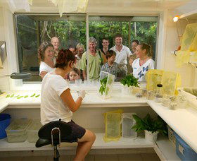 Australian Butterfly Sanctuary - Foster Accommodation 3