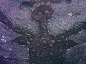 Quinkan Reserves Ancient Rock Art - Foster Accommodation 0