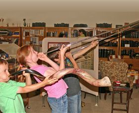The Bible Museum - Foster Accommodation 2