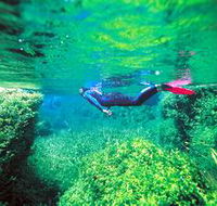 Piccaninnie Ponds Conservation Park - Foster Accommodation