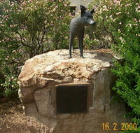 Dingo Statue - Foster Accommodation