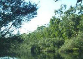 Hotspur ACT Foster Accommodation