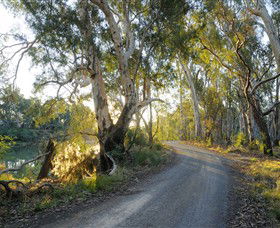 Alton Gallery - Echuca Moama Artists - Foster Accommodation 0
