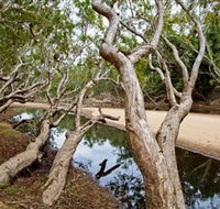 Oyala Thumotang National Park CYPAL - Foster Accommodation