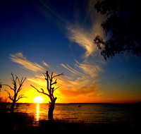 Lake Cowal - Foster Accommodation