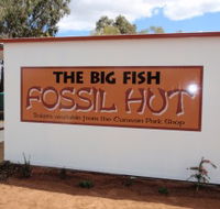 Big Fish Fossil Hut at Peak Hill - Foster Accommodation