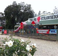 The Big Strawberry - Foster Accommodation
