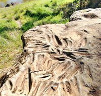 Terramungamine Rock Grooves - Foster Accommodation